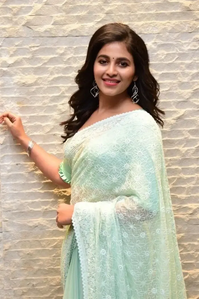 SOUTH INDIAN ACTRESS ANJALI STILLS IN TRADITIONAL LIGHT GREEN SAREE 4